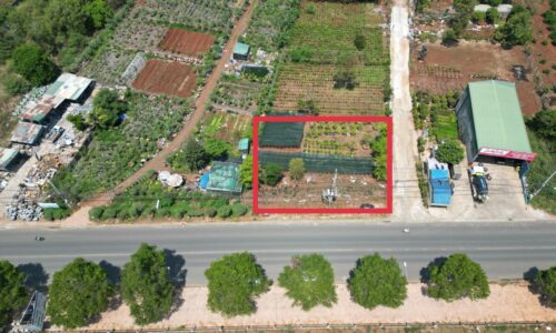 827M2 GÓC 3MT HÀ HUY TẬP NỐI DÀI ĐỐI DIỆN KHU CÔNG NGHIỆP TÂN AN