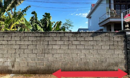 BÁN LÔ ĐẤT HẺM Ô TÔ PHẠM HÙNG , P . TÂN AN GẦN TRƯỜNG ĐÔNG DU