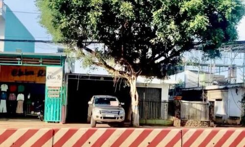 CẦN TIỀN LO CÔNG VIỆC NÊN EM BÁN GẤP LÔ ĐẤT CỦA  ĐỂ DÀNH 2 MẶT TIỀN KINH DOANH ĐƯỜNG PHẠM VĂN ĐỒNG