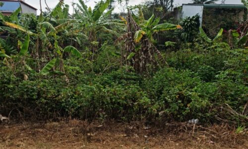 BÁN ĐẤT MT LÝ CHIÊU HOÀNG 630 TRIỆU , BUÔN HỒ