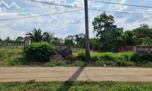 1330M2 ĐẤT ONT + CLN CÁCH MT TỐ HỮU 200M