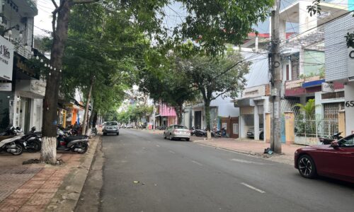 BÁN CẶP BIỆT THỰ ĐẢNG CẤP HIỆN ĐẠI TRẦN KHÁNH DƯ