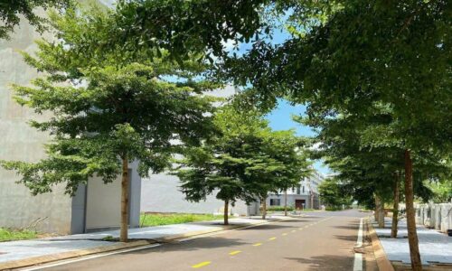 BÁN 2 LÔ GÓC LIỀN KỀ KHU ĐẤU GIÁ LÊ VỤ