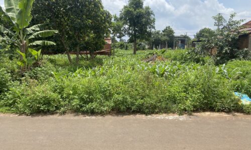 ĐẤT P.TÂN LỢI ĐỐI DIỆN CỔNG KHU CÔNG NGHIỆP TÂN AN, BUÔN MA THUỘT