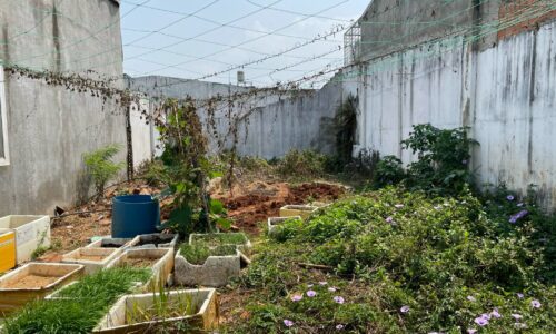 💥BÁN ĐẤT ĐẸP HẺM XE HƠI 79 DINH NÚP