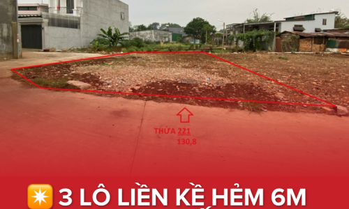 💥BÁN 3 LÔ LIỀN KỀ HẺM LƯƠNG THẾ VINH