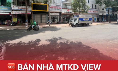 💥BÁN NHÀ MTKD VIEW HOA VIÊN NGÔ QUYỀN