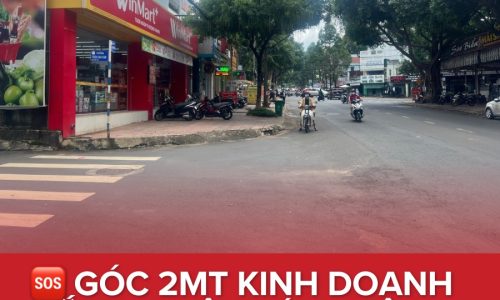 💥BÁN GÓC 2 MTKD ĐẮC ĐỊA LÊ THÁNH TÔNG & TRẦN CAO VÂN