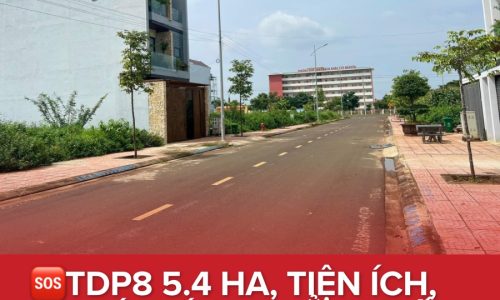 💥BẢN TIN CẬP NHẬT VÀI LÔ TỔ DÂN PHỐ 8  HÀ HUY TẬP